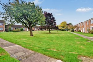 Photo 15- click for photo gallery